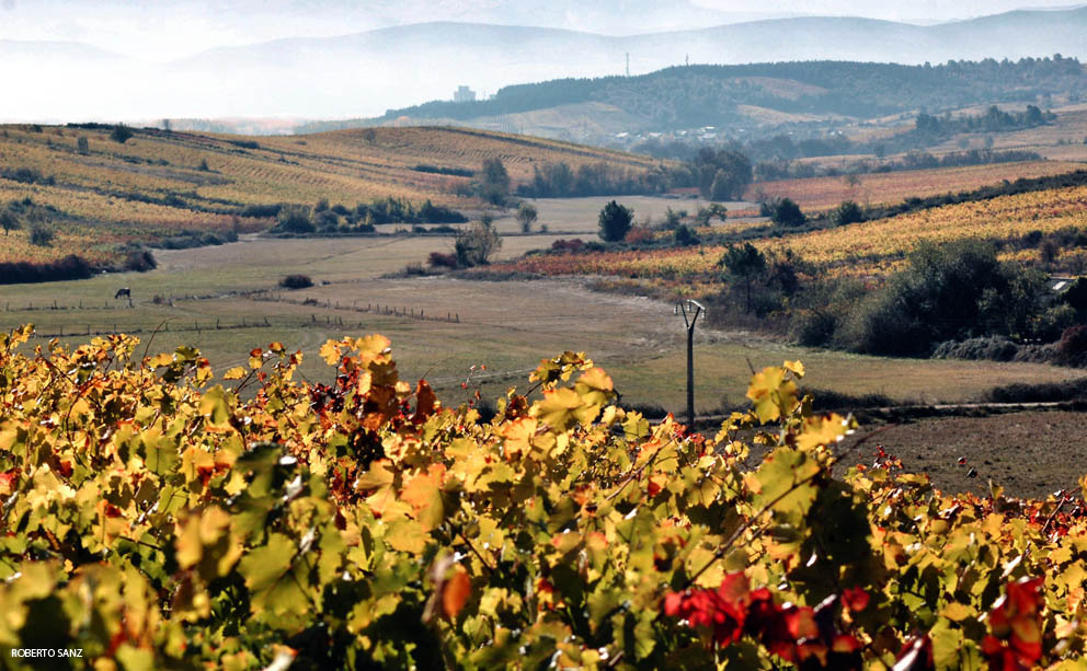 El Pago de Valdoneje